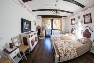 Гостевой дом Conacu´ Boierului Ponoarele Двухместный номер с 2 отдельными кроватями и собственной ванной комнатой-8